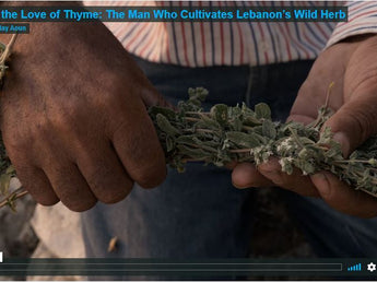 For the Love of Thyme – Six-minute film documentary on sustainability and cultivation of the wild zaatar herb in Lebanon